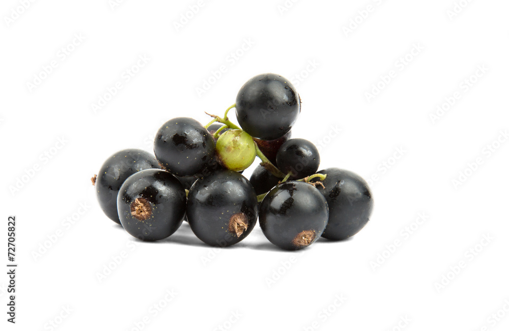 bunch of black currant on a white background bunch of black currant on a white background