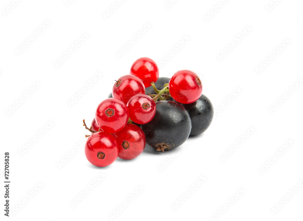 bunches of black and red currants on a white background bunches of black and red currants on a white background