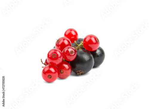 bunches of black and red currants on a white background