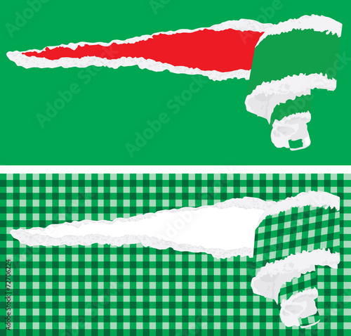 background with torn gift wrap