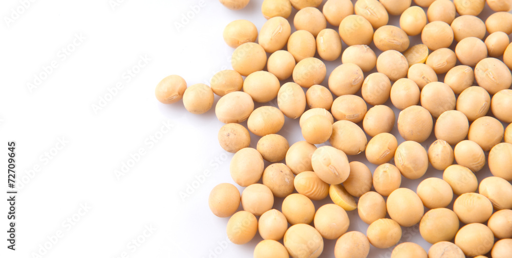 Soybean on white background Soybean on white background