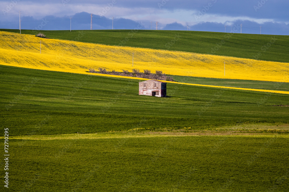 Obraz premium Nei campi