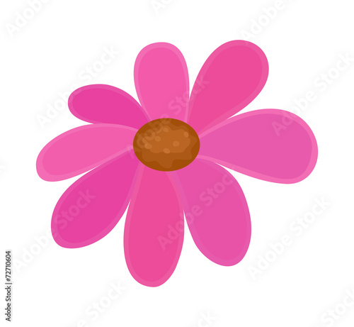 Festival Pink Flower