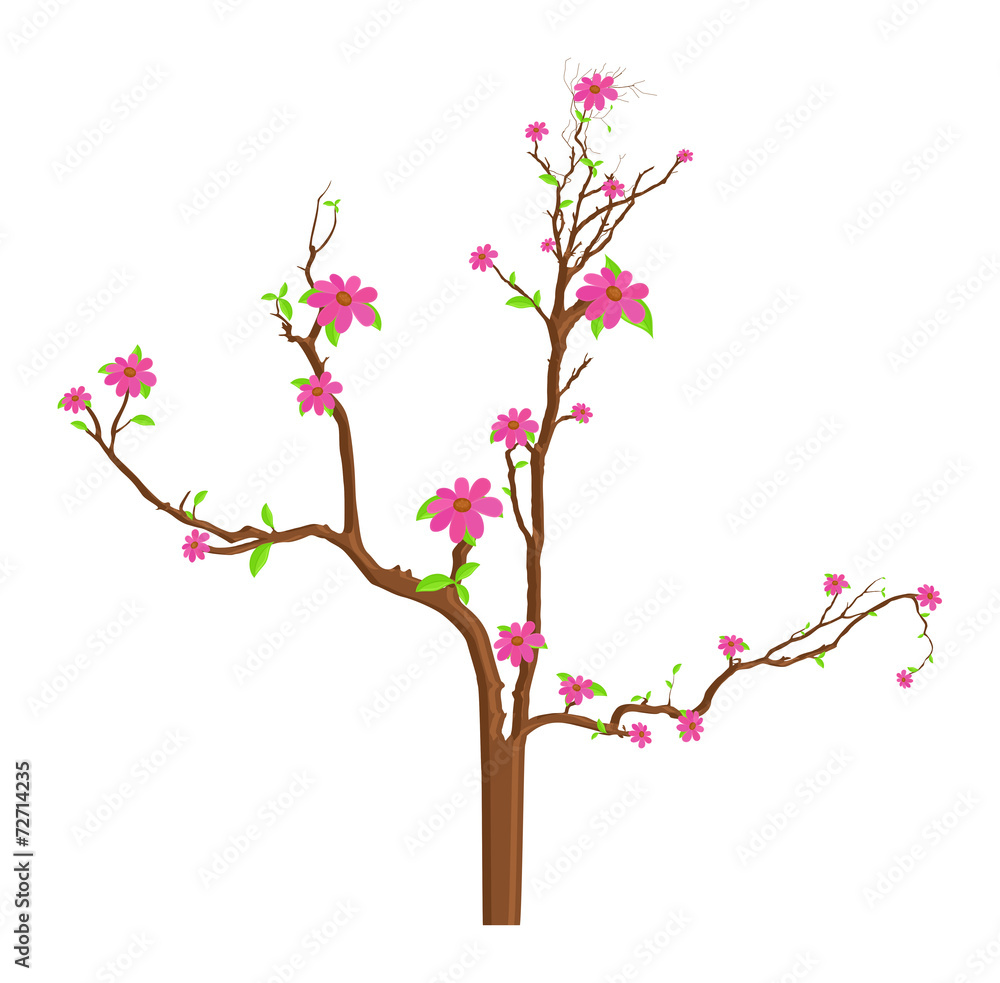 Pink Flowers Branches Illustration Pink Flowers Branches Illustration