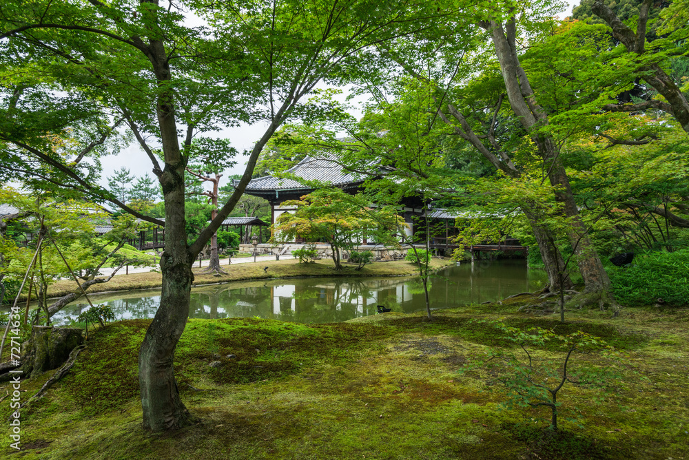 京都　高台寺　庭園