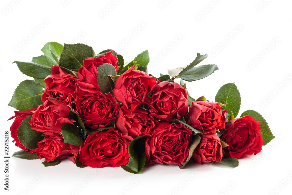 Fototapeta premium Red roses.