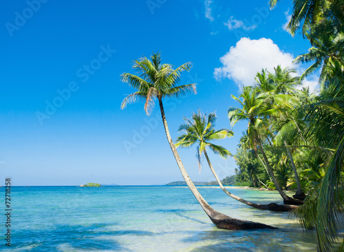 Serenity Shore Exotic Paradise