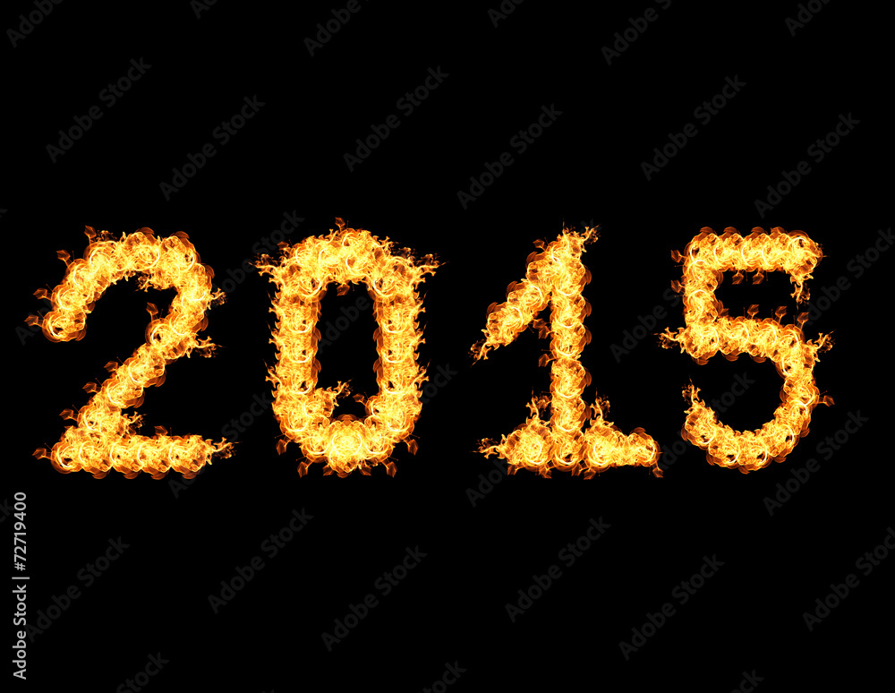 Fire flames2015
