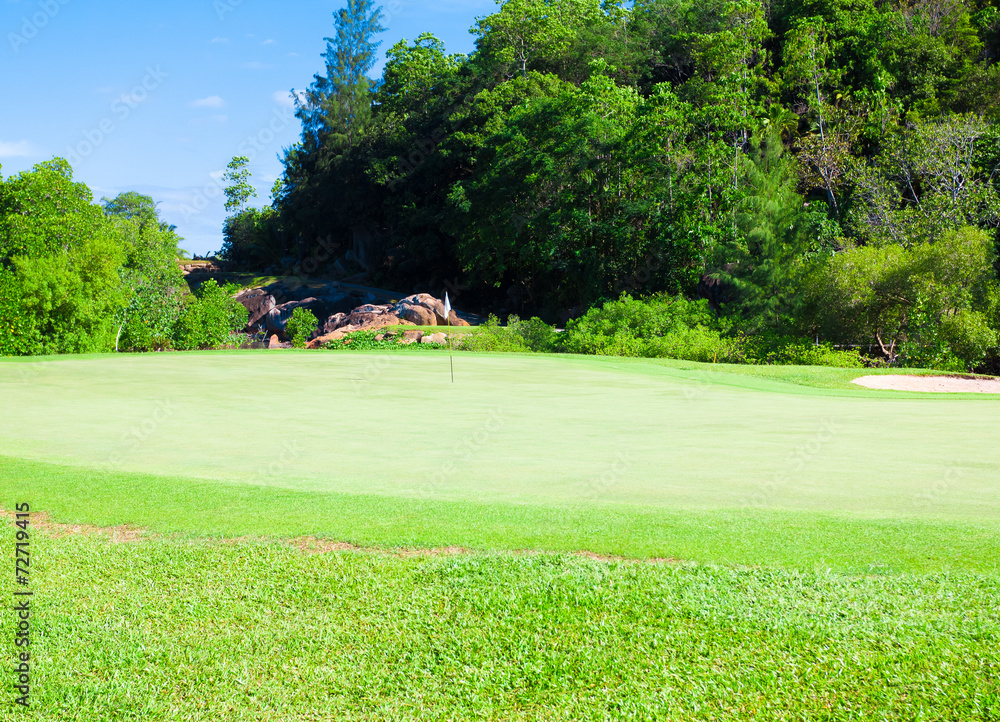 Obraz premium Green Area Landscape