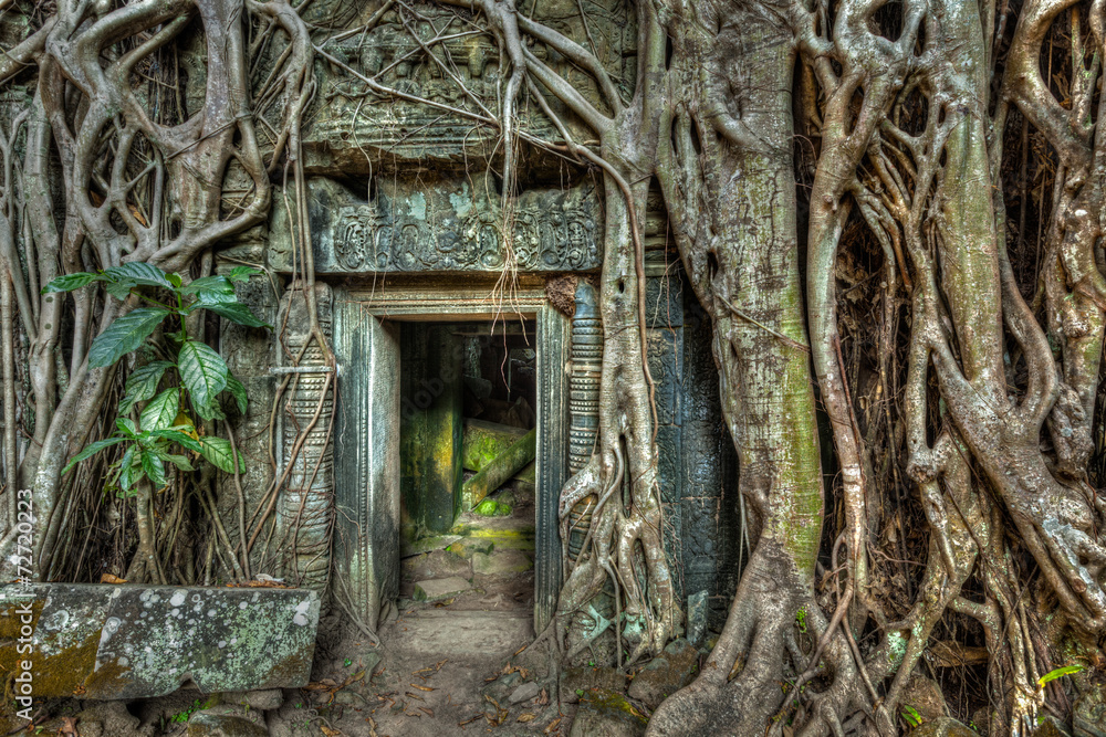 Ancient stone door and tree roots, Ta Prohm temple, Angkor Ancient stone door and tree roots, Ta Prohm temple, Angkor