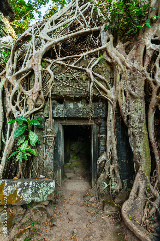 Obraz premium Ancient stone door and tree roots, Ta Prohm temple, Angkor