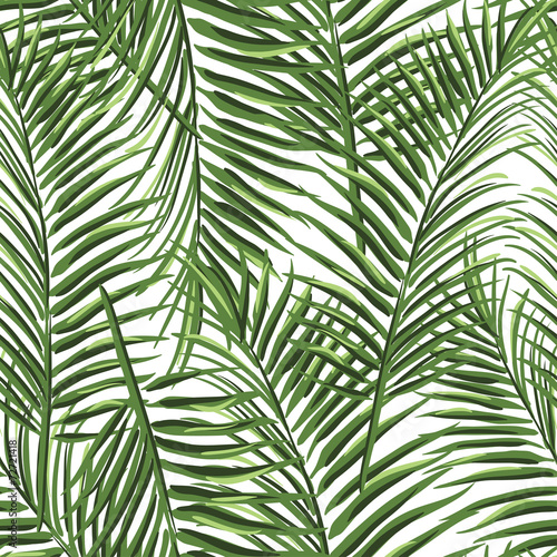 tropical palm leaves pattern