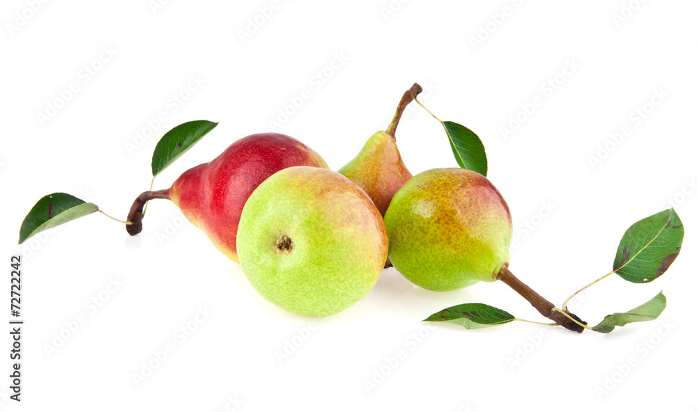 Obraz premium pears
