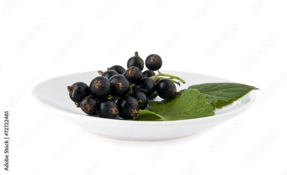currants currants