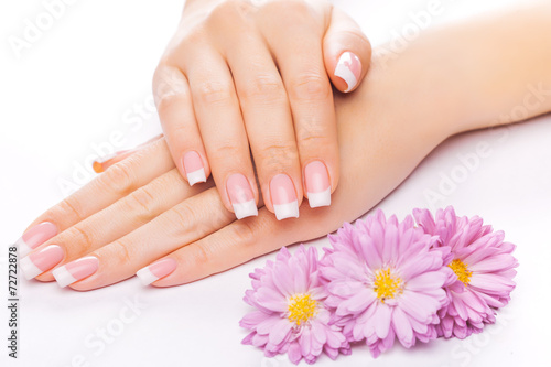 french manicure with chrysanthemum