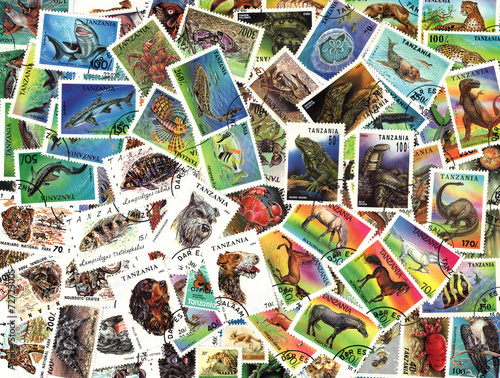 Fauna. Tanzanian postage stamps