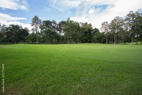 green golf course, sport background