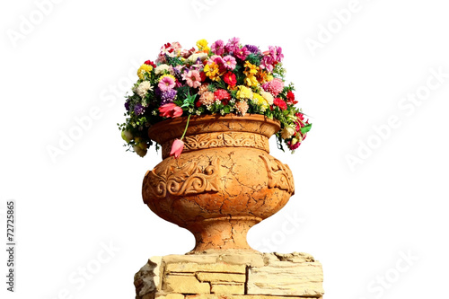 flowers in a clay pot