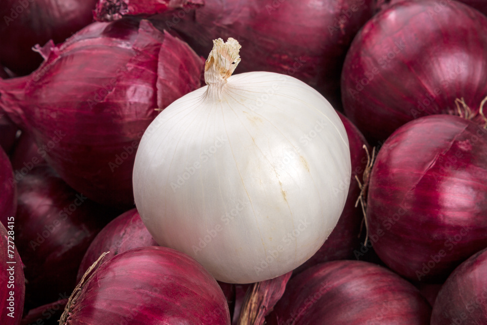 White onion on red onions