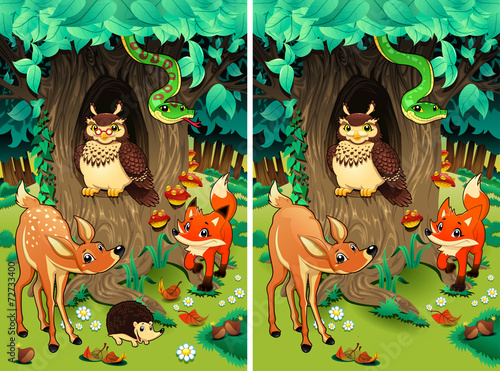 Spot the differences.