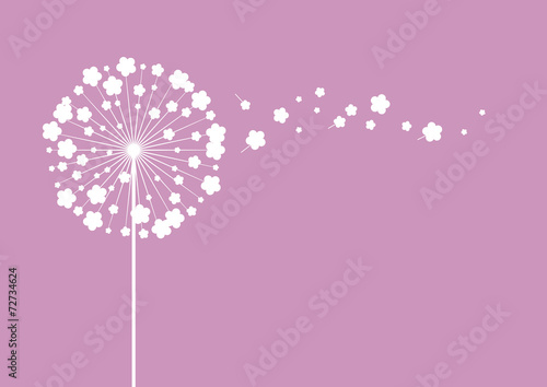 Pusteblume auf violettem Hintergrund