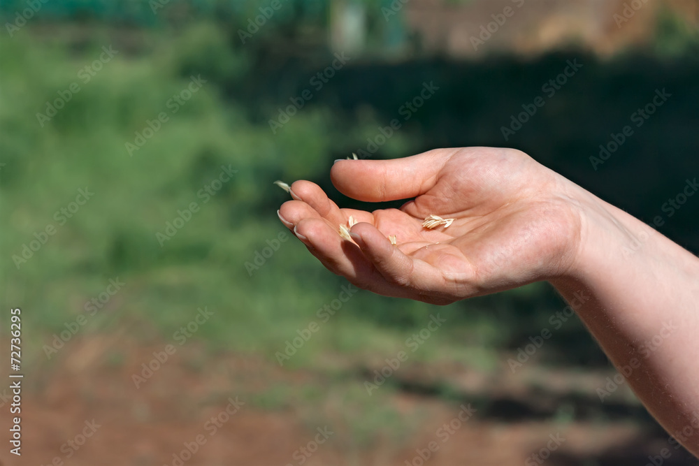 Hand in the wind Hand in the wind