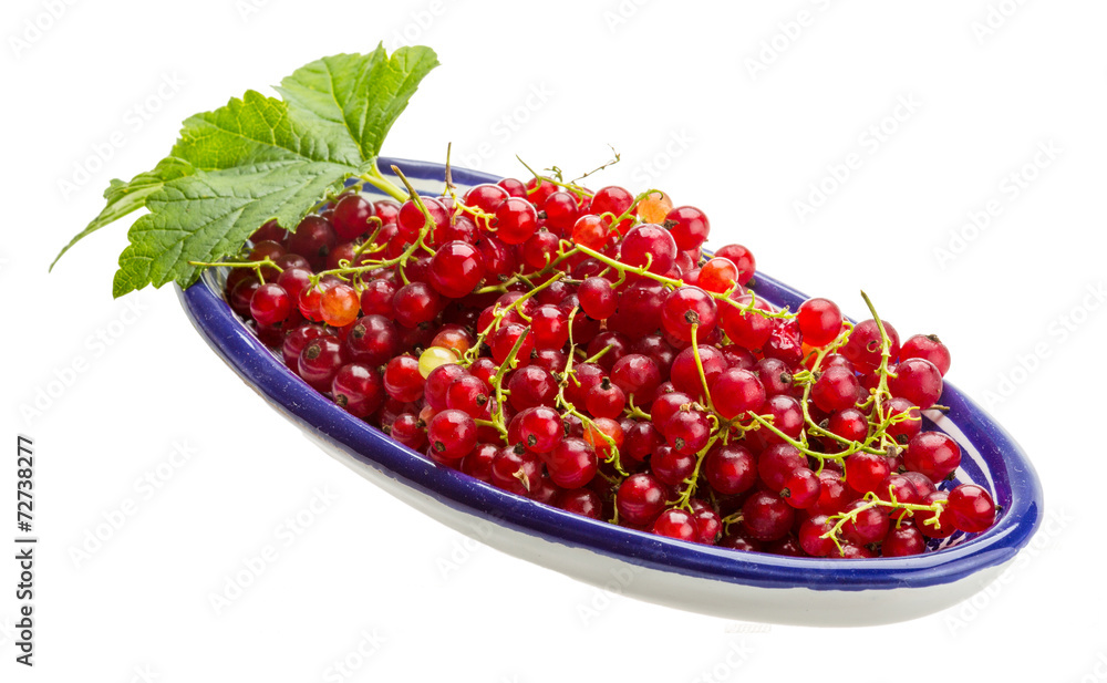 Red currant Red currant