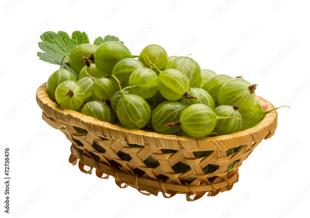 Gooseberry Gooseberry