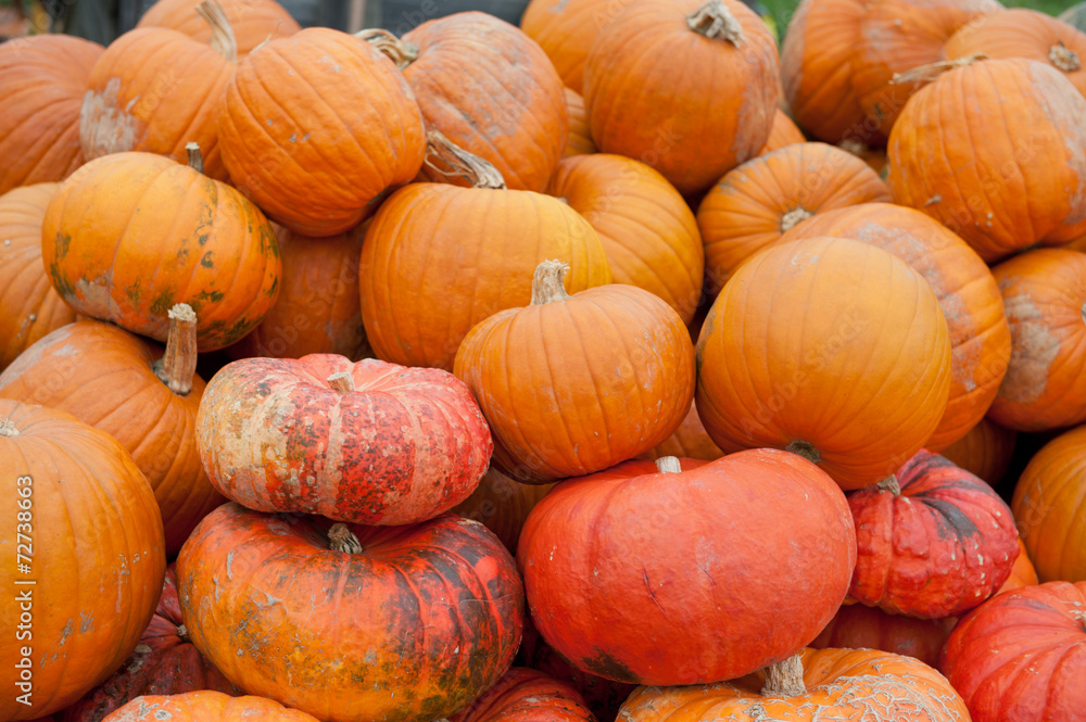 redOrangePumpkins redOrangePumpkins