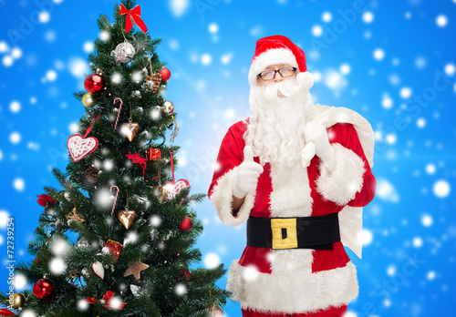 santa claus with bag and christmas tree © Syda Productions