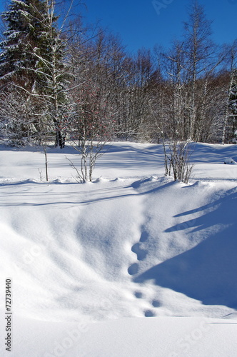 paysage de savoie en hiver © savoieleysse