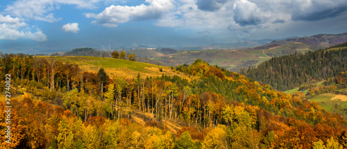 Autumn forest in the Carpathians mountains.