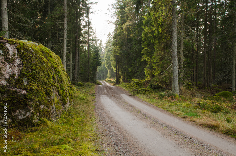 Fototapeta premium Big mossy rock at a dirt road side