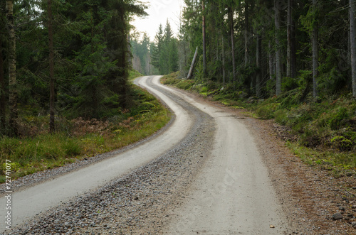 Winding gravel road