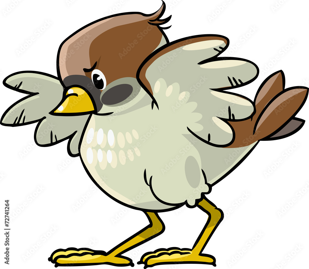 Brave sparrow Brave sparrow