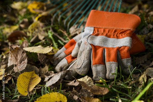 work gloves and rake photo