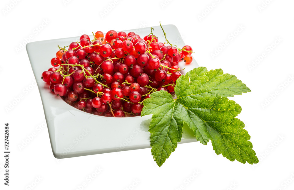 Red currant Red currant