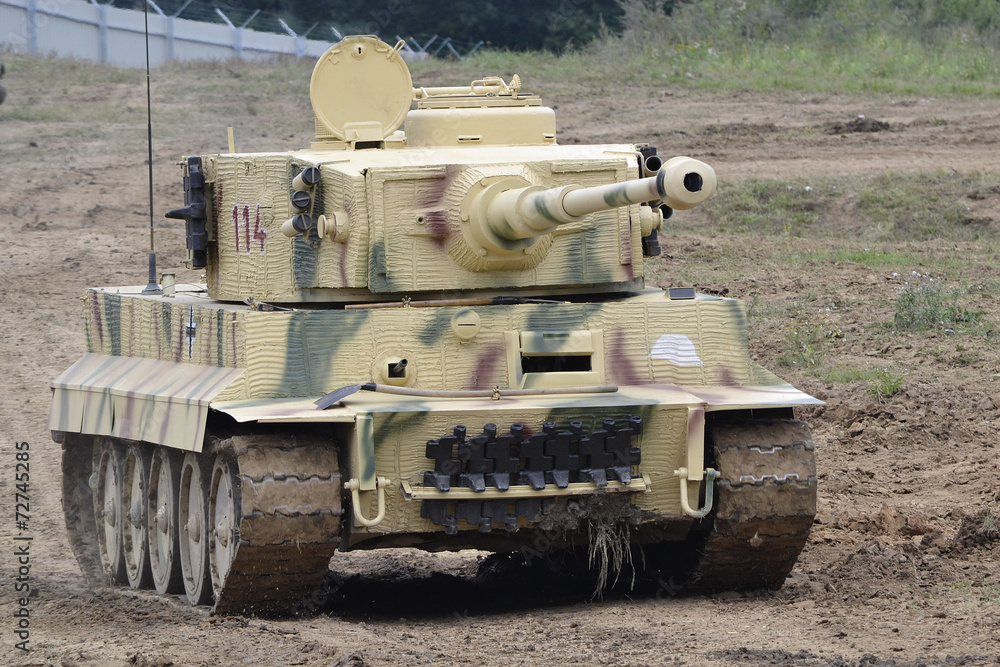 Fototapeta premium Tank Tiger