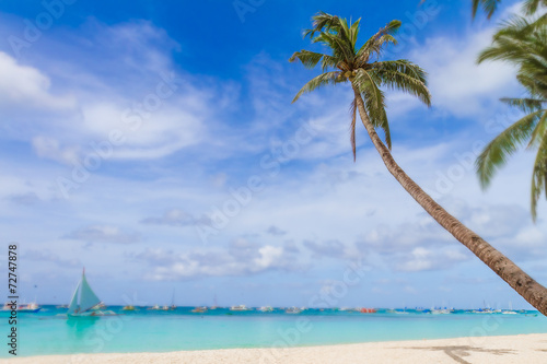 palm trees on tropical beach and sea background  summer vacation