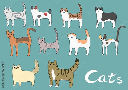 猫の種類いろいろ