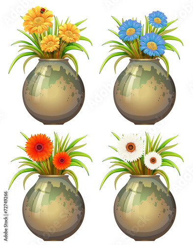 Big pots with flowers