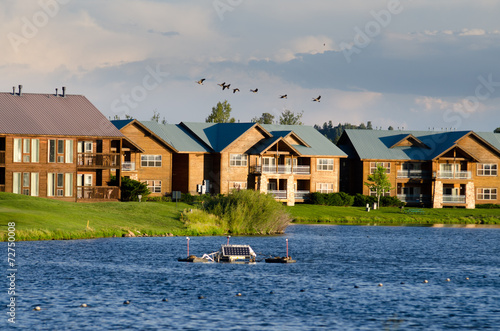 Canvas Print immigration geese over the lake