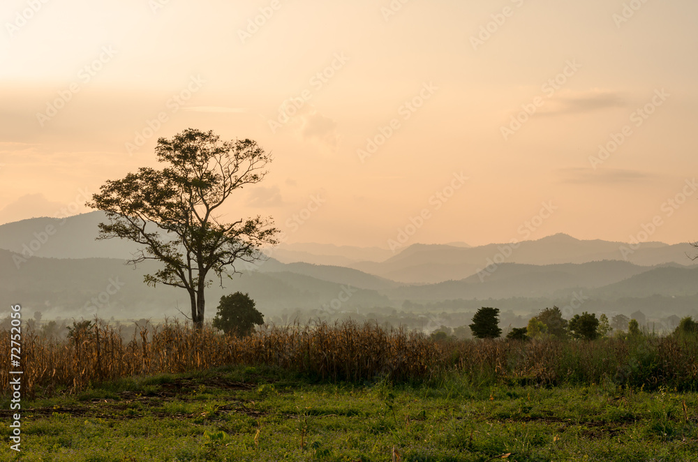 Sunset sky in the natural scenery, meadows and trees Sunset sky in the natural scenery, meadows and trees