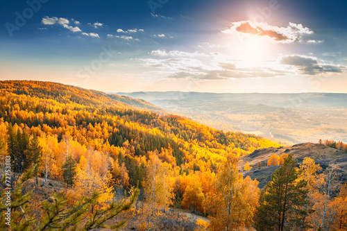 Beautiful view of autumn forest in the mountains