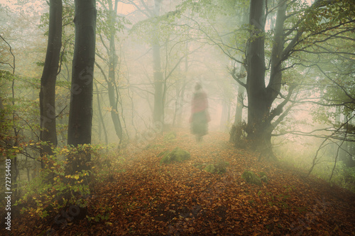 Dark mist in the forest. Ghost appears