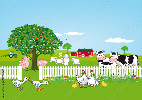 Tiere auf Farm