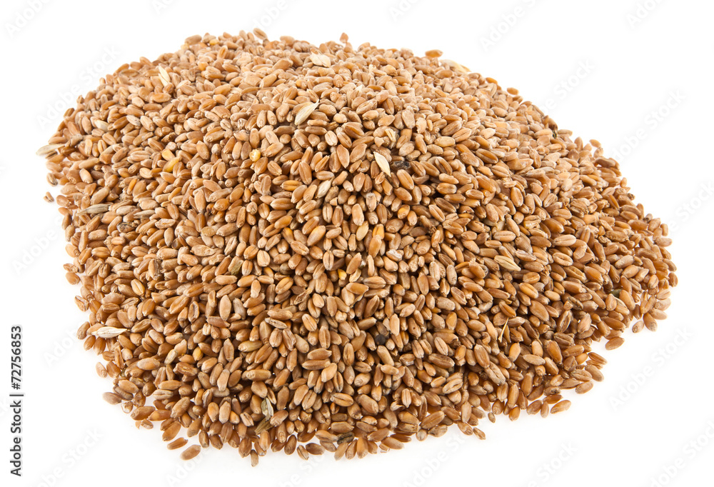 grains of wheat grains of wheat