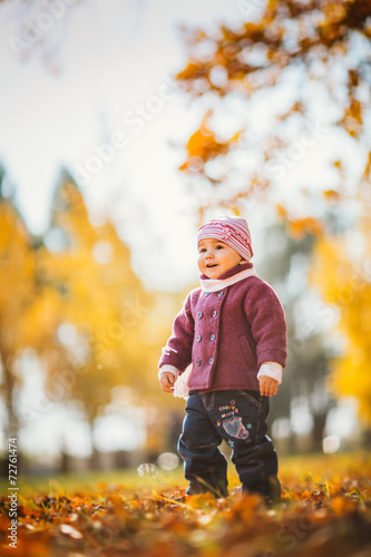 adorable little girl with autumn leaves in the beauty park