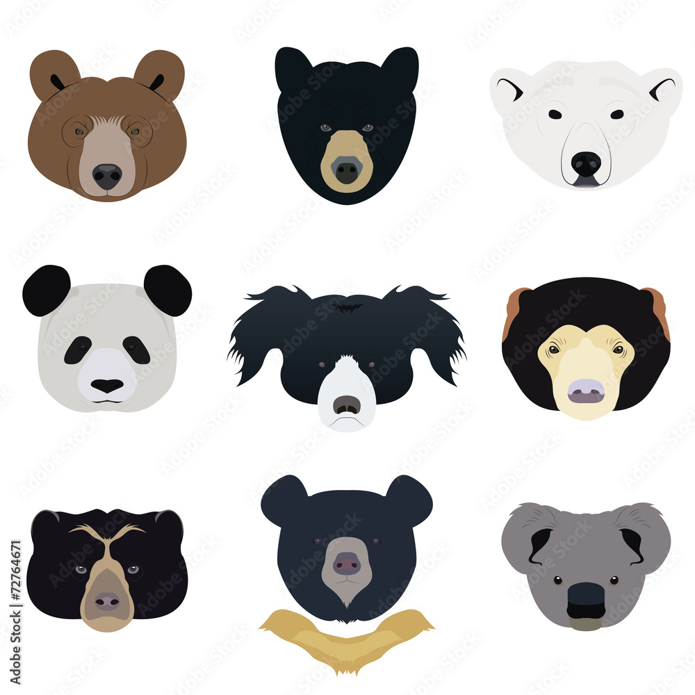 Obraz premium Set of Bear and Wild Animals Vector and Icon