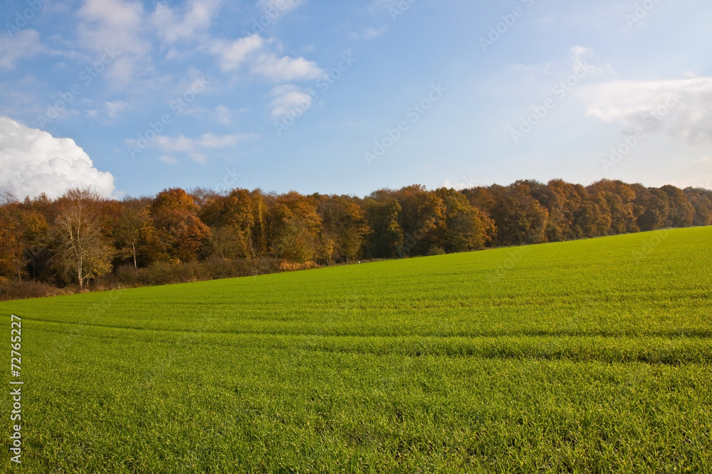 Agrarlandschaft im Herbst